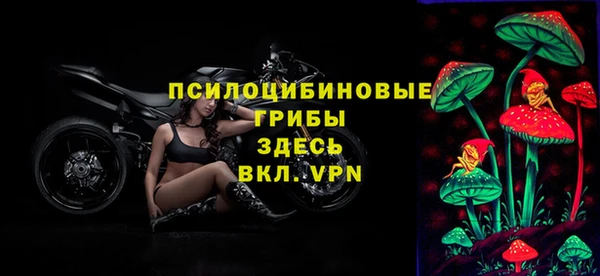 а пвп мука Гусев
