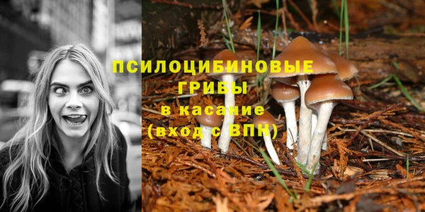 марихуана Гусиноозёрск