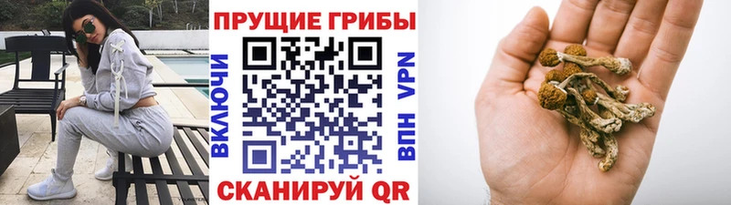 Псилоцибиновые грибы мухоморы  Калининград 
