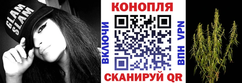 Бошки Шишки семена  Калининград 